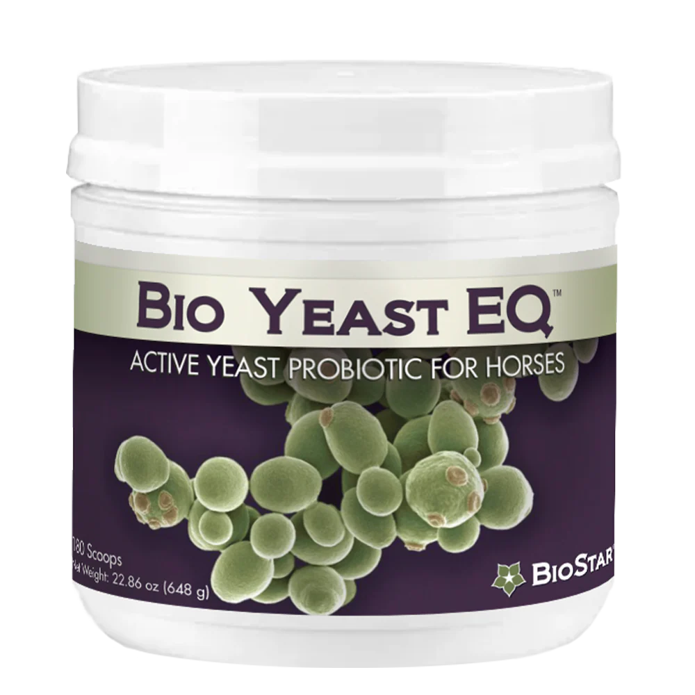 Bio Yeast EQ