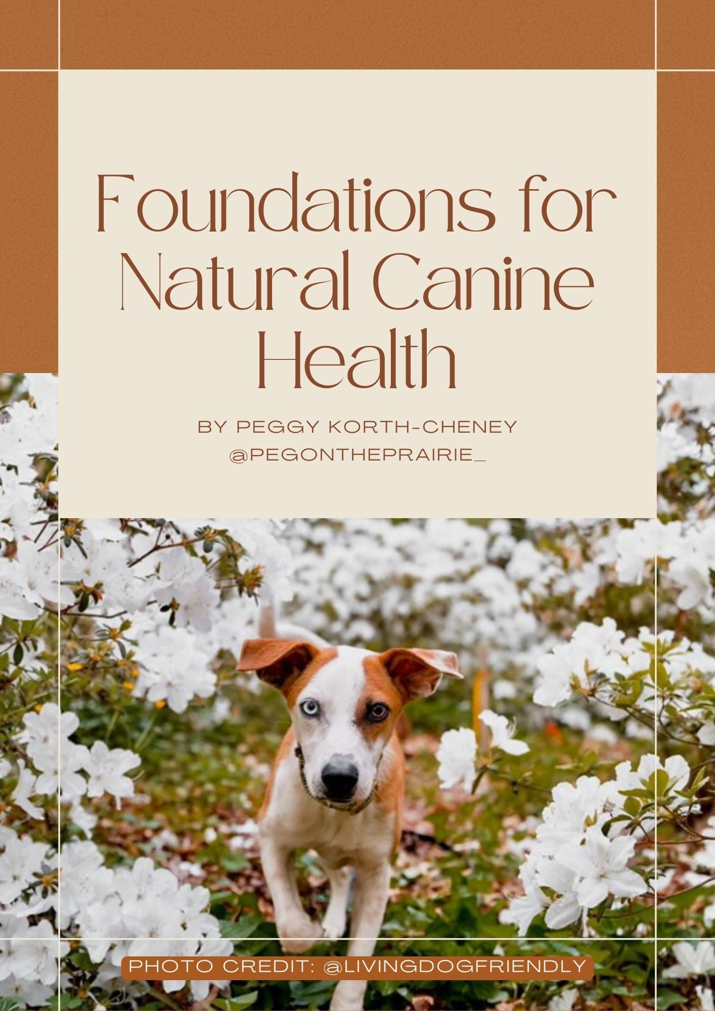 Natural Canine Health Guide