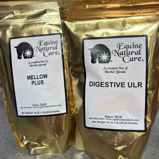 Calm Gut Support Bundle