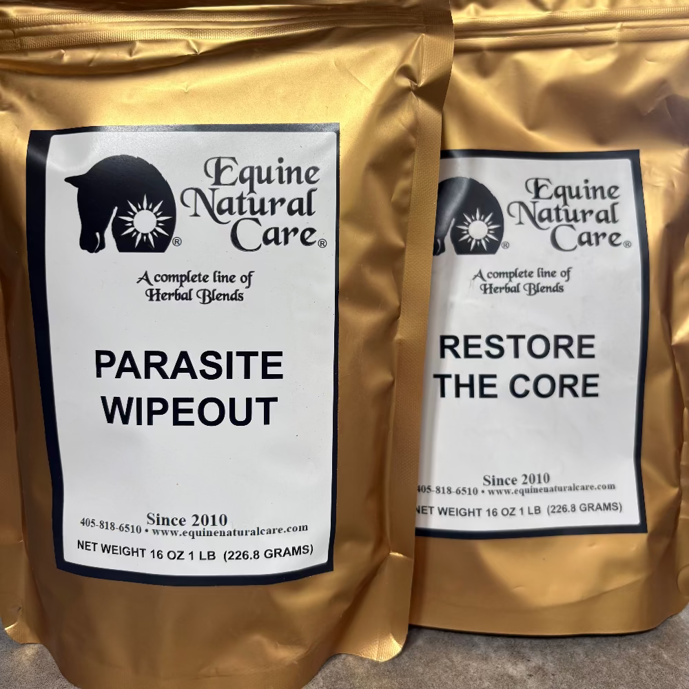 Parasite and Gut Terrain Support Bundle