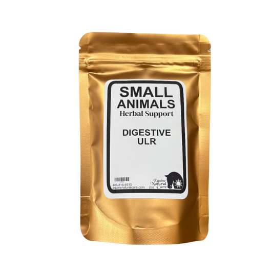 Digestive Blend for Dogs